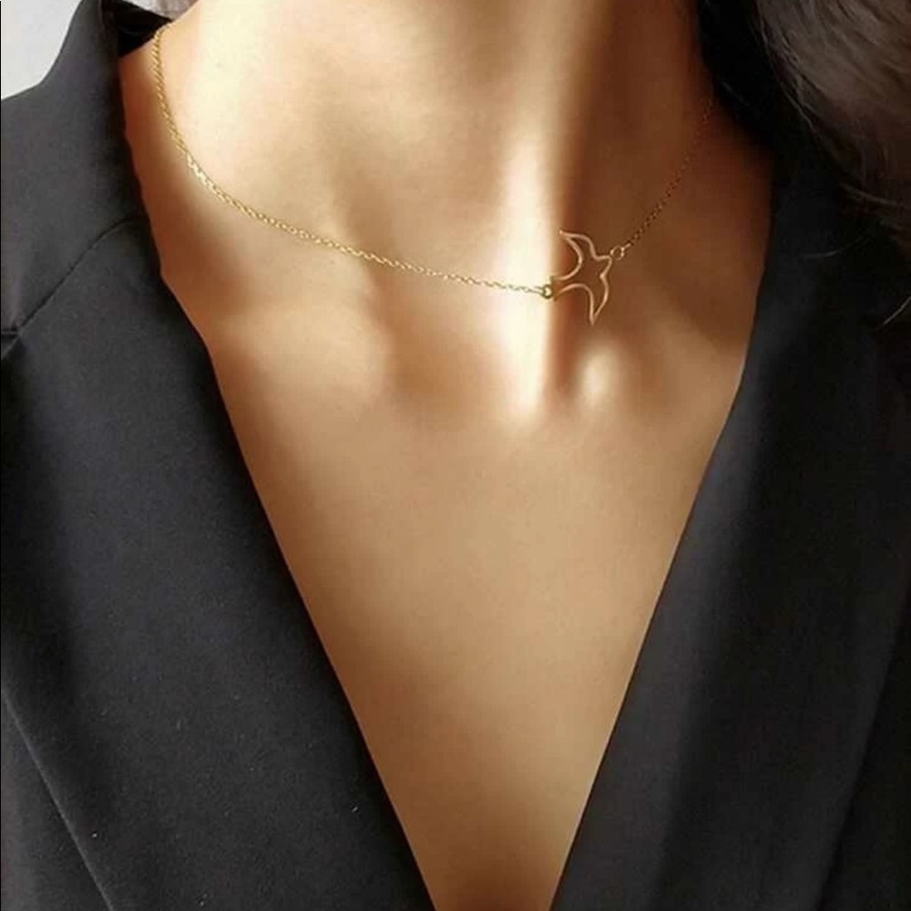 • Cheyenne • Hollow Bird Pendant Choker - Picture 2 of 5